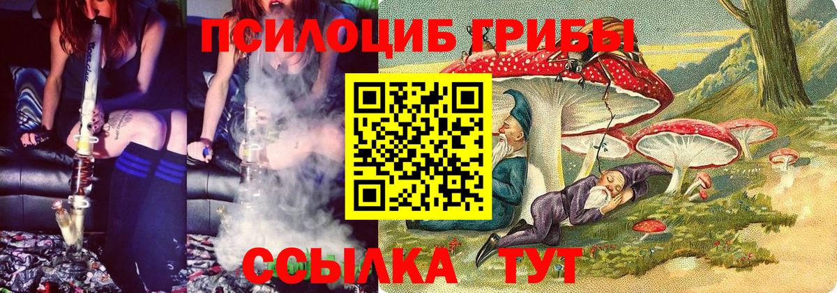 Галлюциногенные грибы Psilocybine cubensis  Псилоцибиновые грибы прущие грибы  Чебоксары  Вход с VPN 