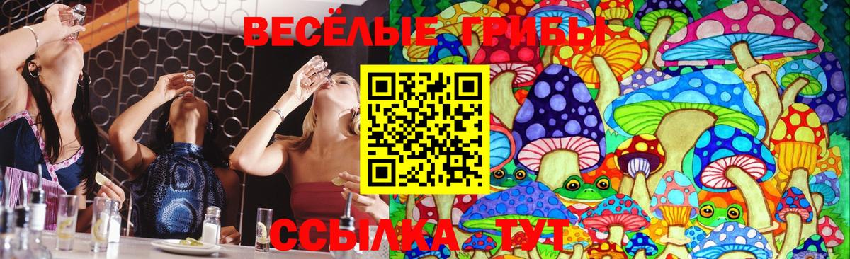 Псилоцибиновые грибы Magic Shrooms Чебоксары